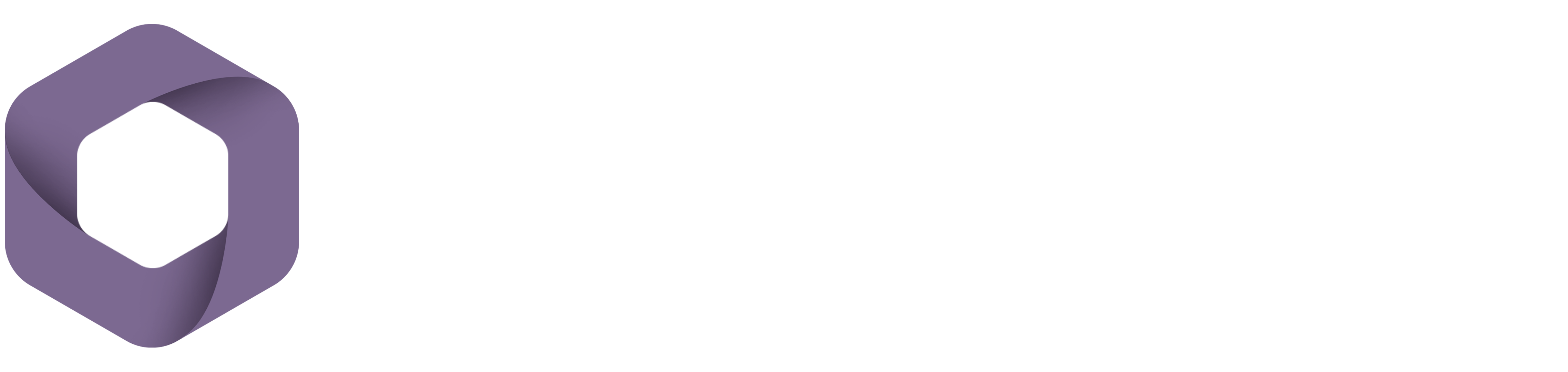 Polyseam Logo