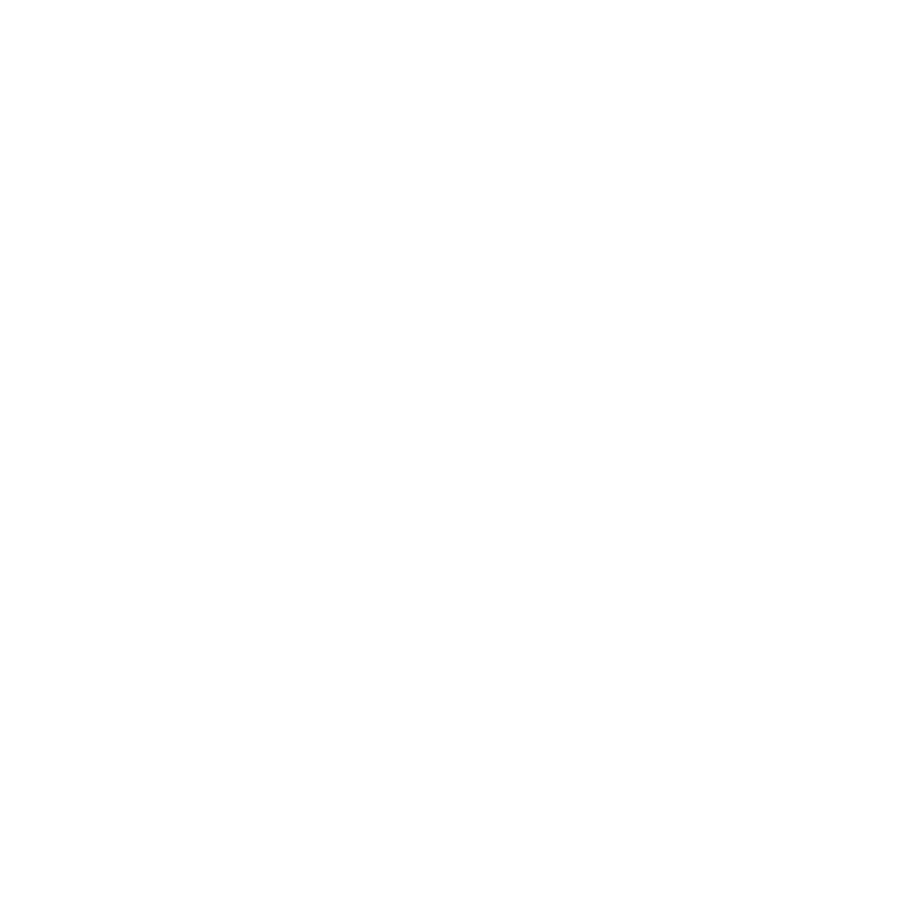 Wordpress Logo